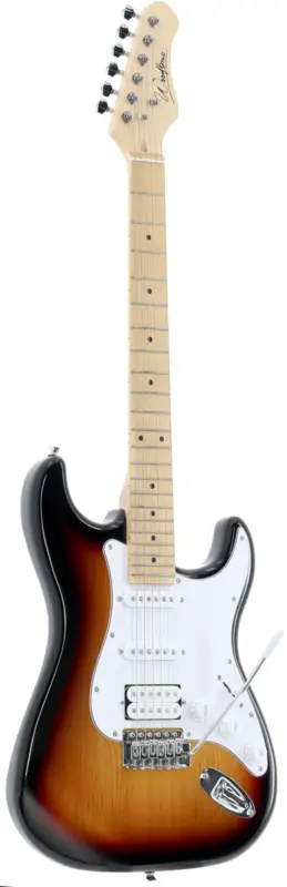 Woodbrass ST100 Sunburst Sichere Zahlung